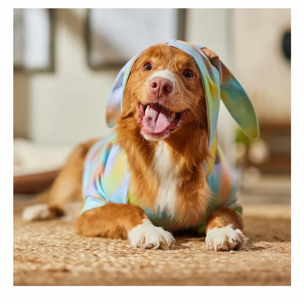 Frisco Wash Effect Bunny Ear Hoodie, Large